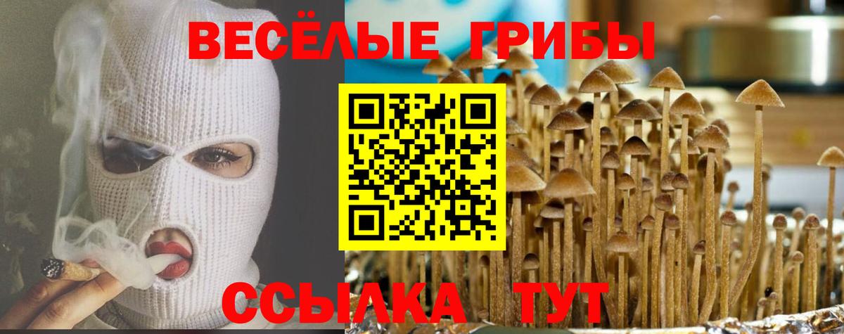 Галлюциногенные грибы ЛСД  Псилоцибиновые грибы мицелий  Шали  Вход с VPN 